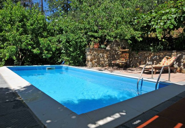 Villa in Sarzana - Villa Il Pettirosso