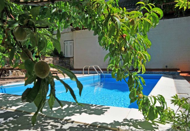 Villa in Sarzana - Villa Il Pettirosso