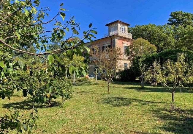 Villa in Sarzana - Villa Carlotta