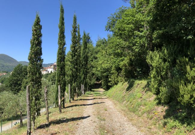 Country house in San terenzo Monti - Podere Beatrice