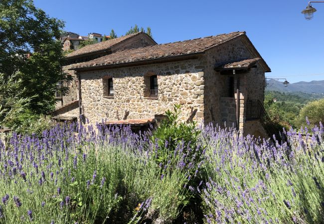 Country house in San terenzo Monti - Podere Beatrice