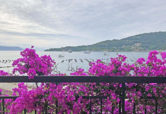 Villa in Portovenere - Villa Stella di Mare