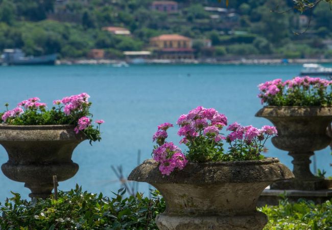 Villa in Portovenere - Villa Venere