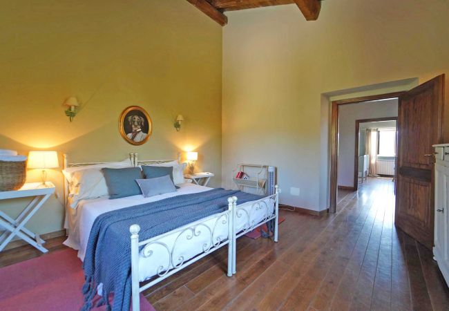 Villa in Serricciolo - Villa Claudia