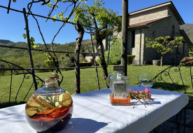 Villa in Mulazzo - VILLA DELIA 